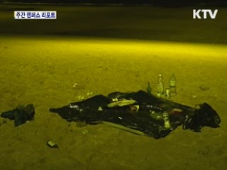 '몸살 앓는 피서지'…시민의식 실종 여전