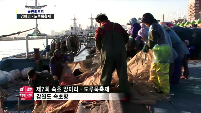 양미리·도루묵 맛보러 속초로 오세요