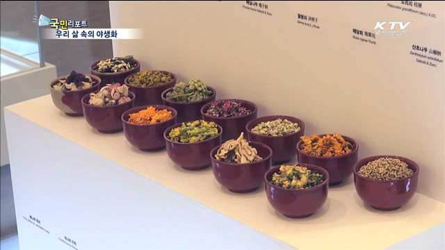 삶 속에 핀 야생화…"아름다움 느껴보세요"