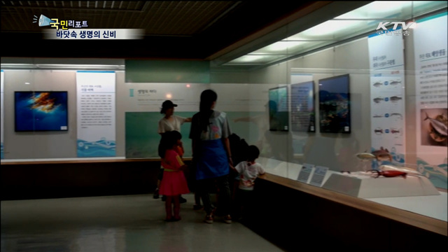 경이로운 바닷속…"생명의 신비 느껴요"