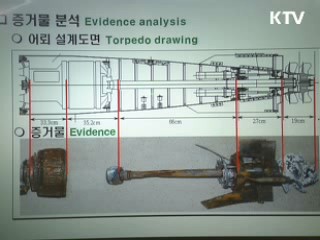 윤덕용 단장 "유엔안보리서 충분히 설명"