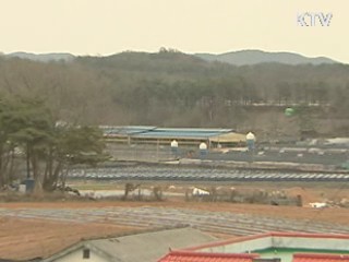 일부 지역 소에 구제역 백신 접종