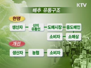 무·배추 농협 계약재배 50%까지 확대