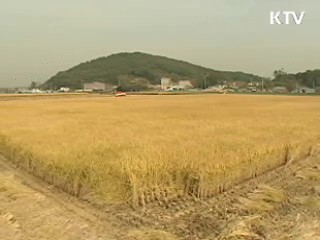 '일본 해외 농경지 1천200만ha' 사실무근