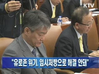 "유로존 위기, 임시처방으로 해결 안돼"