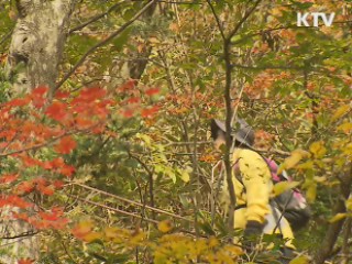 가을철 산행 '이것만은 조심하세요'