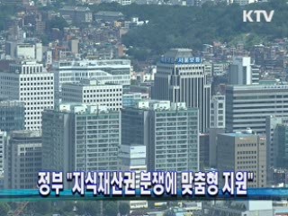 정부 "지식재산권 분쟁에 맞춤형 지원"