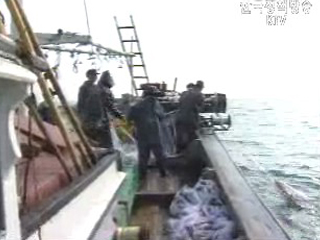 한·중 수산고위급회담