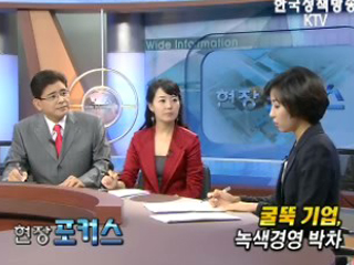 굴뚝 기업, 녹색경영 박차