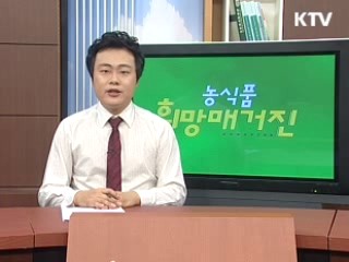 AI, 겨울철 방역 대책