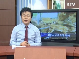 송아지 가격 안정 대책