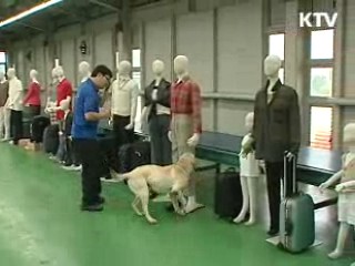 복제 마약탐지견, 임무 시작