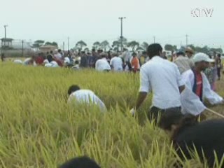 10월 전국 방방곡곡 풍성한 축제