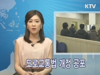 도로교통법 개정 공포