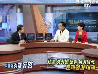 세계 경기에 대한 위기의식, 문제점과 대책