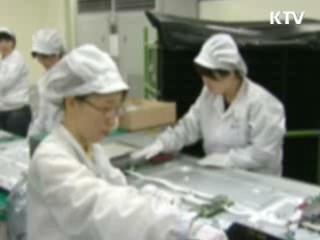 7월 정규직 전환율 36.8% 불과