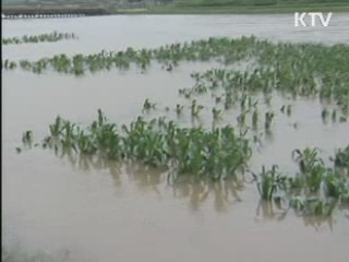 개성공단 입주업체 개성 수해민 지원 추진