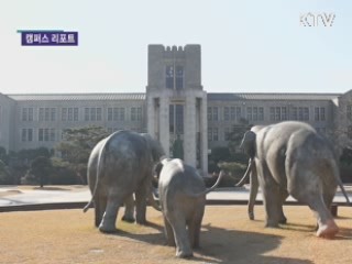 학과 통폐합 갈등
