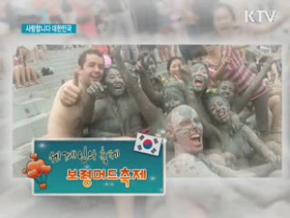 세계인의 축제 보령머드 축제