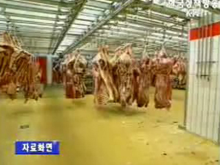 미국산 쇠고기 수입재개 확정