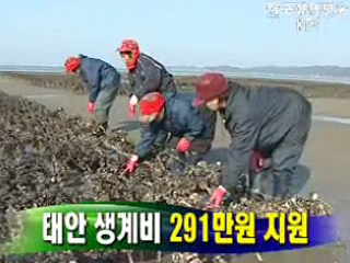 태안 생계비 최고 291만원 지원