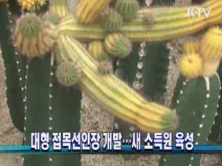 대형 접목선인장 개발…새 소득원 육성