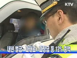 내년 벌금·과태료·과징금 등 12% 증액