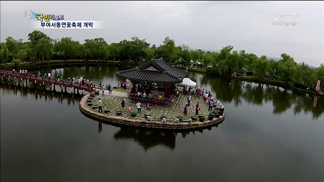 천만송이 연꽃의 향연…서동연꽃축제