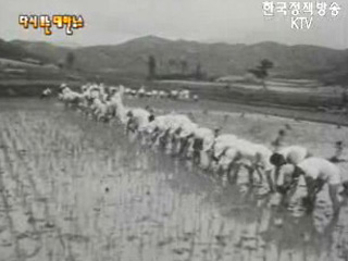 권농일(`64)
