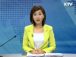 정책 포커스 (246회)