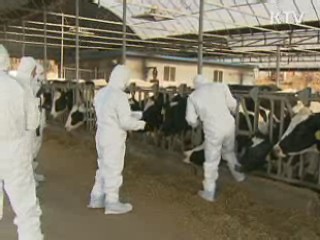 설 연휴 귀성차량 집중 방역