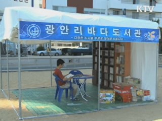 부산 바다 활짝 열렸다!