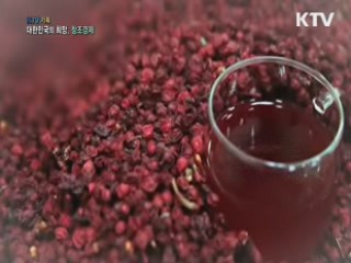 KTV 기획 대한민국의 희망, 창조경제 + (28회)