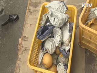 추석 앞두고 '원산지 표시' 집중 단속