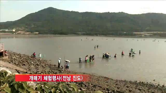 '가을 관광주간'…"할인받고 어촌 여행 떠나요"