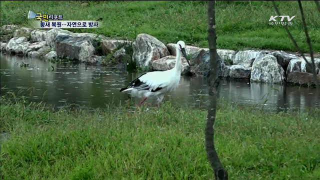 국내 첫 황새공원…예산, 황새의 고장으로