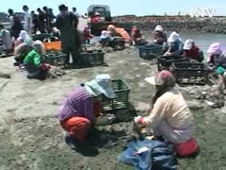 NLL '이상없다' [현장 포커스]