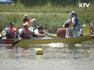 "둔치 영농행위 규제, 2004년부터 시작"