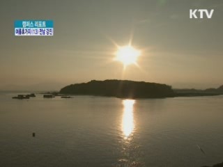 푸른 쪽빛의 세상 강진으로 [캠프스 리포트]