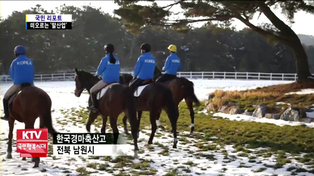 한국의 미래성장 '말 산업' 육성