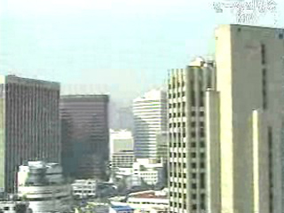 소유 지분보다 7배 많은 의결권 행사