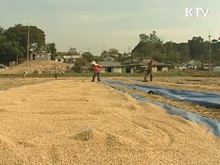 농지담보 연금제도 2011년 도입