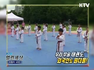 우리 무술 태권도, 외국인도 원더풀! [KTV 열린세상]