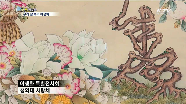 삶 속에 핀 야생화…"아름다움 느껴보세요"