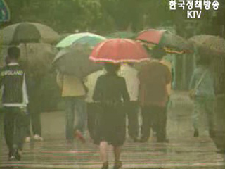 재난안전대책본부 피해종합