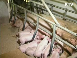 FTA 국내보완대책 순조로운 집행