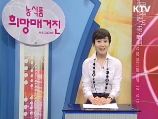 해파리 유생단계부터 초기박멸 실시