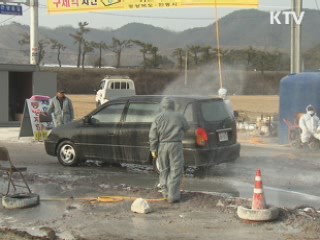 구제역 피해자 부가세 등 신고·납부 유예