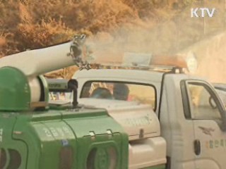 구제역·AI 발생지역 개학연기 검토