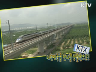 KTX , 대한민국을 일일생활권으로! [위클리공감 동행!]